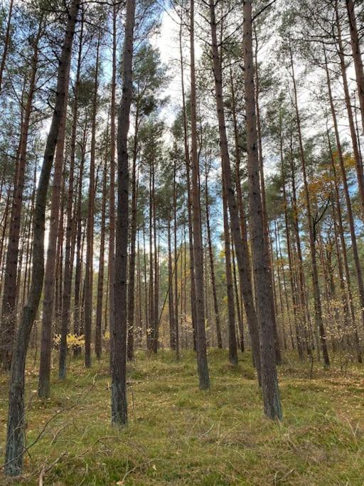 Ferienwohnung Fuer Naturliebhaber Peenemunde Zewnętrze zdjęcie