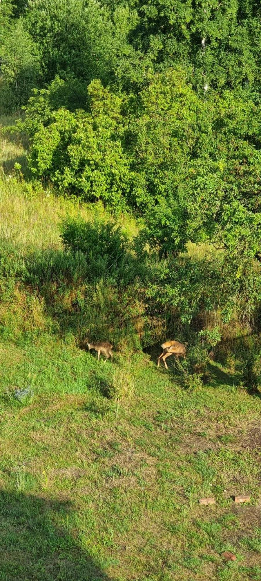 Ferienwohnung Fuer Naturliebhaber Peenemunde Zewnętrze zdjęcie